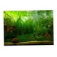 thumbnail image 2 of Cartel Del Fondo Del Acuario Del PVC, Prenda Impermeable 61x30cm Del Paisaje De Las Plantas Del Acuario De Peces, 2 of 5