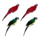 thumbnail image 4 of Juego De 4 Estatuas De Loro De 35 Cm, Figuritas De Guacamayo, Escultura Para Exteriores, Adorno De Pared, 4 of 5