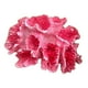 thumbnail image 2 of Fondo De Accesorios De Foto De Coral Artificial Mini Para Accesorios De Oficina De Acuario, 2 of 5