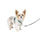 thumbnail image 1 of Arnés para perros PetSafe 3 en 1 sin tirones para perros pequeños, color verde azulado XS, 1 of 8