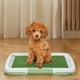 thumbnail image 1 of Baño Ecológico Reutilizable Para Perros Adiestramiento Mascotas, 1 of 9
