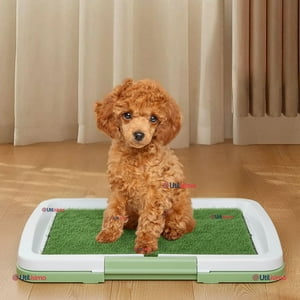 Line - Baño Ecológico Reutilizable Para Perros Adiestramiento Mascotas