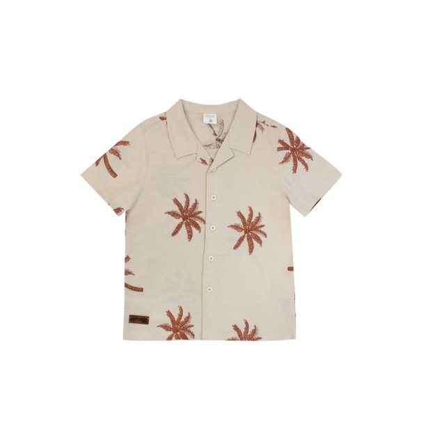 Camisa boys breeze 247