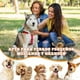 thumbnail image 5 of Oso Robusto Indestructible, Juguete Para Perros Ansiosos Indestructible, Juguetes Interactivos Para Perro, Juguete De Masticar Squeaky Robust Bear Para Perro Grande Y Cachorros, 5 of 6
