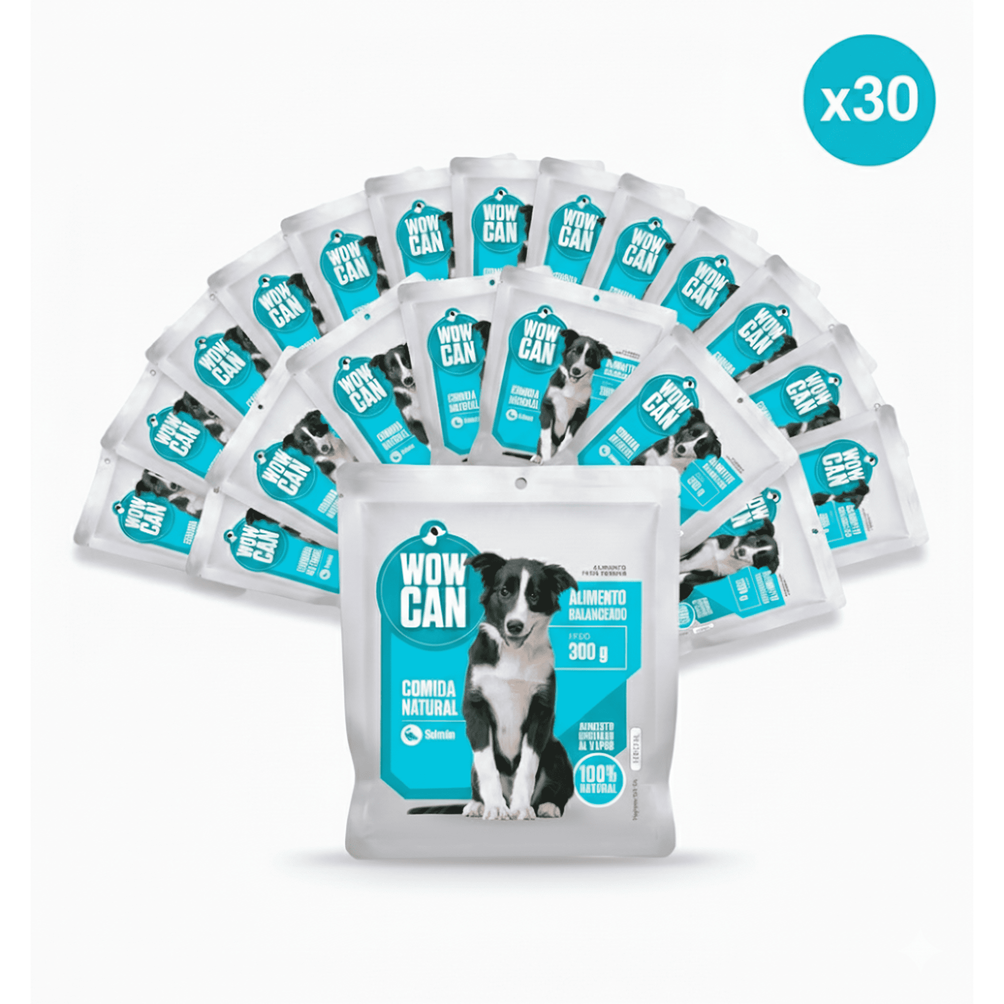 Pack X30 Salmón-pollo 300gr Wow Can