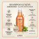 thumbnail image 3 of Shampoo Anticaida Jaborandi 300 ml, 3 of 3