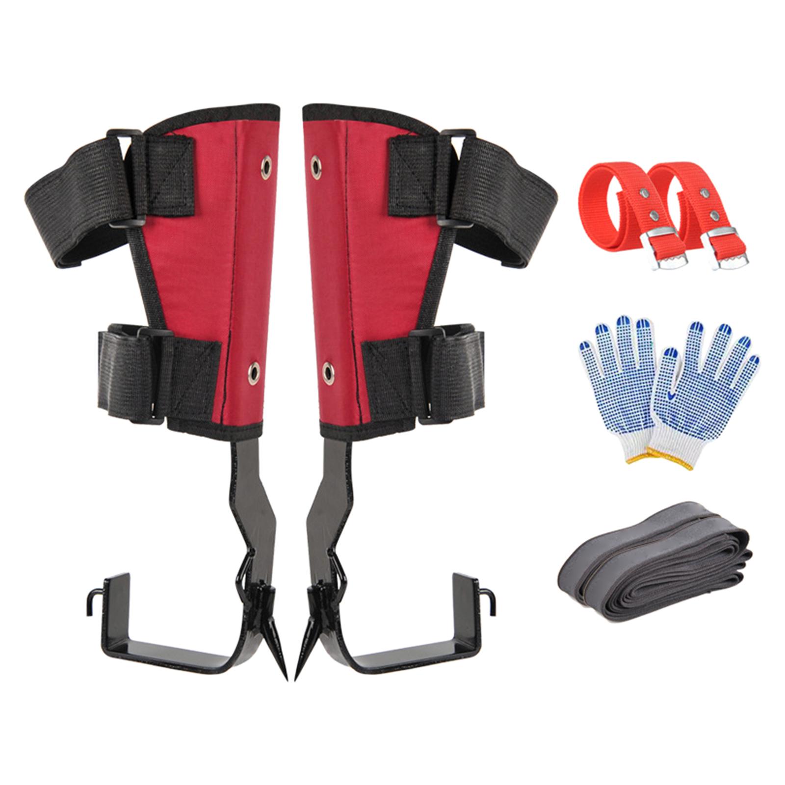 Magideal - Juego De Púas Para Trepar Árboles Equipo Para Trepar Árboles Acero Inoxidable Con Guantes Espiga Para Trepar Árboles Verticales Para Recolección De Engranaje Único