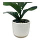 thumbnail image 3 of Planta Artificial 2 31cm, 1 unidad, 3 of 4
