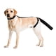 thumbnail image 2 of Cubierta Protectora De Cola De Perro De 2 Piezas Para Heridas Colas De Perros Curan La Manga Cuidado De Heridas De Perros Para Perros Medianos Y Grandes Para Ayudar En La Recuperación De L, 2 of 3