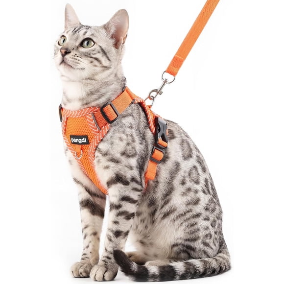 Arnés para Gato Pangdi L/E Malla Naranja Reflectante con Correa