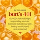 thumbnail image 2 of Set de tinte labial Burt's Bees Shimmer Watermelon, paquete de 4, 2 of 3