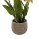 thumbnail image 3 of Planta Artificial Orquidea Amarilla Decorativa Macetero Loza, 3 of 4