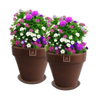 Mestiza - Set De 2 Maceta Kony 24Cm Morena Natural Y Sus Platos