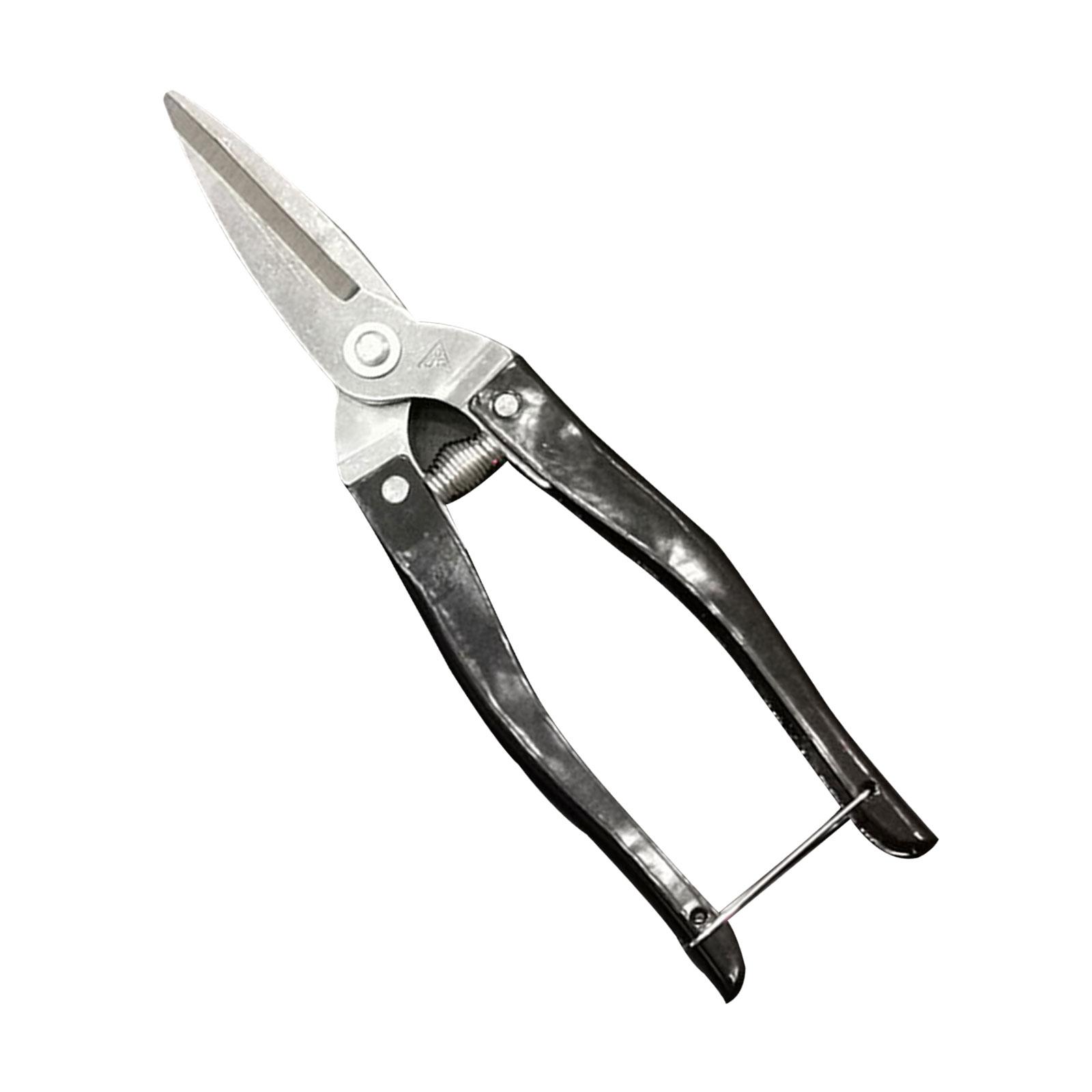 Ioensy - Tijeras De Podar Para Jardín, Tijeras De Podar Para Jardín, Uso De Flores Para Floristería, Color Negro