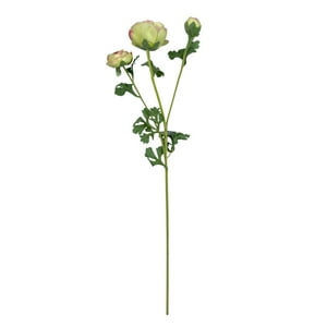 Corel - Ranúnculo Verde Rosa 73Cm Con Textura Realista