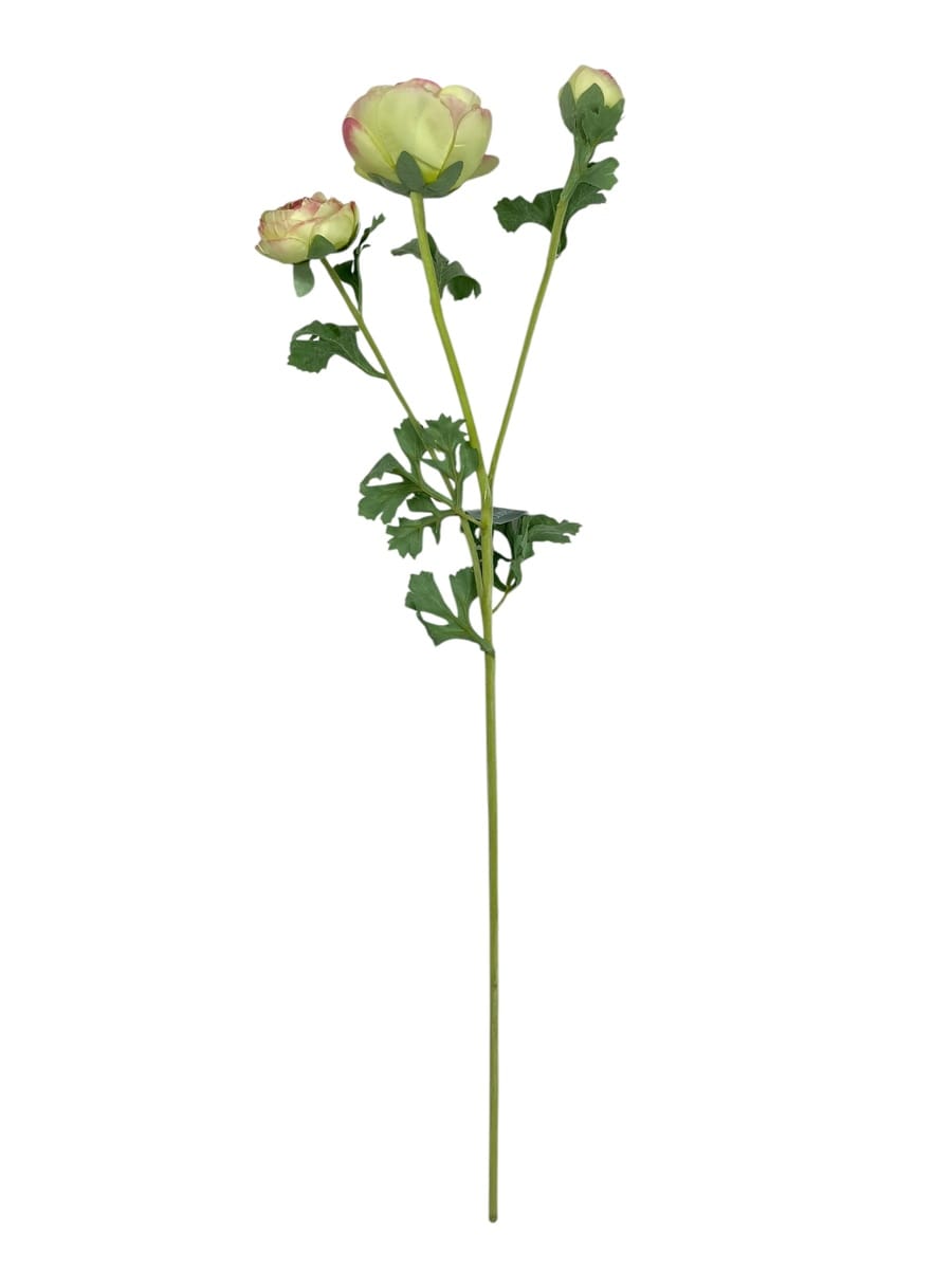 Corel - Ranúnculo Verde Rosa 73Cm Con Textura Realista