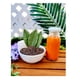 thumbnail image 3 of Mezcla de té helado tailandés Pantai Norasingh, estilo tradicional, 480 ml, 3 of 4