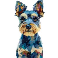 Genérico - Pintura Por Números Schnauzer 40X50 Cm