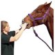 thumbnail image 4 of Equine Wormer Paste Durvet Duramectin, 6 tubos, 4 of 5
