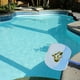 thumbnail image 2 of Recogedor De Hoja Para Piscina Metálico, 2 of 2