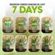 thumbnail image 4 of Kit de germinación de semillas ZESTIGREENS con 2 frascos Mason y soporte, 4 of 7