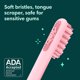 thumbnail image 2 of Cepillo de dientes eléctrico Quip Smart Sonic para adultos All-Pink, 2 of 3