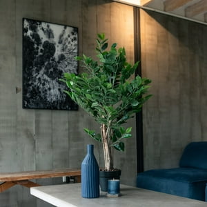 Vadell Home - Ficus Benjamina De 90 Cm