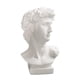 thumbnail image 3 of David Head Planta Maceta Florero Decorativo Busto Estatua Jardinera 6CM, 3 of 3
