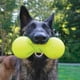 thumbnail image 3 of Juguete para perros Ruff Dawg Big Dawg XL de goma resistente para masticadores, 3 of 8