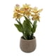 thumbnail image 1 of Planta Artificial Orquidea Amarilla Decorativa Macetero Loza, 1 of 4