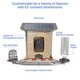 thumbnail image 4 of Comedero inteligente Feit Electric Bird Genius de 2,5 L con cámara, 4 of 9