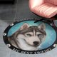thumbnail image 4 of Husky Siberiano Alfombra Redonda de Felpa Coral, Antideslizante, No Desprende Pelusas, Lavable y Duradera para Salón, Dormitorio y Habitación de Niños 60cm, 4 of 6