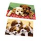 thumbnail image 2 of Juego De 2 Juegos De Ganchos Para Perros Con Herramienta Básica E Instrucciones Para Hacer Alfombras, 2 of 5