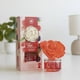 thumbnail image 2 of Ambientador Mikado Flor Perfumada Frutos del Bosque 65ml, 2 of 2