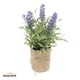 thumbnail image 1 of Lavanda Planta Artificial con Macetero Decoración SunnyYard, 1 of 3
