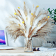 thumbnail image 3 of Ramo pampas secas naturales 90 uds 44 cm, 3 of 3