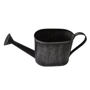 Bric - Regadera Para Decorar