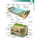 thumbnail image 3 of Diccionario Visual Merriam-Webster 2ª Edición, 3 of 7