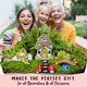 thumbnail image 4 of Fairy Garden House WILD PIXY brilla en la oscuridad con luz solar, 4 of 8