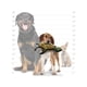 thumbnail image 4 of Juguete para perros ANSALDO PETS Tuffy Tortuga resistente, 4 of 5