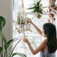 thumbnail image 2 of Paquete de 2 macramé para colgar plantas de interior y exterior, macramé de algodón tejido a mano natural con anilla para decoración del hogar, techo, pared, 20 pulgadas, 2 of 7