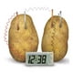 thumbnail image 2 of Ciencia Reloj Energia Naturales - Juego Kit De Ciencia - Steam - 4M, 2 of 3