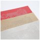 thumbnail image 2 of Juego De 6 Manteles Individuales Firefly Hope PVC 45x30 Cm Rojo, 2 of 4