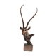 thumbnail image 2 of Escultura De Cabeza De Antílope, Adorno Moderno Y Creativo Para Dormitorio, Porche O Chimenea, Bronce., 2 of 5