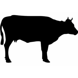 Rienda Libre Graphics - Decomural Cow Farm Animals Pack Ws-33070