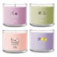thumbnail image 1 of Vela Yankee Candle 37 ml Zen Oasis Paquete Surtido, 1 of 9