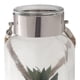 thumbnail image 2 of Planta Decorativa Fanal Suculenta Verde con Soga, 2 of 4