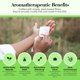 thumbnail image 4 of Toallitas y toallitas Herban Essentials Peppermint (20 unidades), 4 of 7