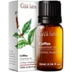 thumbnail image 1 of Aceite Esencial De Café 10 Ml Para Aromaterapia, 1 of 6