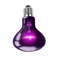 Ioensy - Lámpara De Calor De Luz De Luna Simulada Bulbo De Lámpara De Calor Para Anfibio Reptileon Chameleon 50W